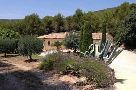Maison Privee Au Calme Dans Mas Provencal Villa Sanary-sur-Mer Bagian luar foto